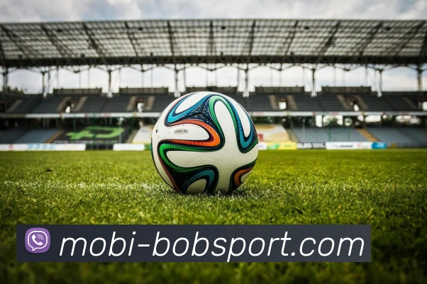 BOB体育APP 封面图